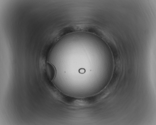 X0000115760699200911201158