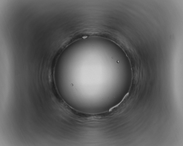 X0000115760700200911201158