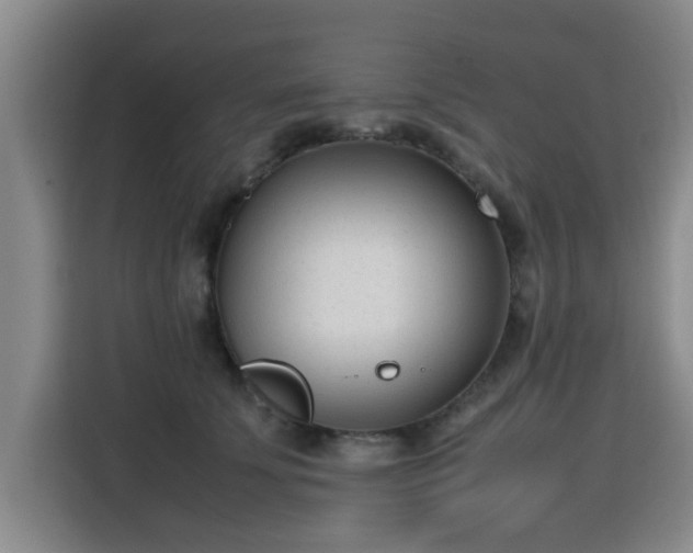 X0000115760707200911201158