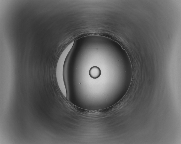 X0000115760720200911201158