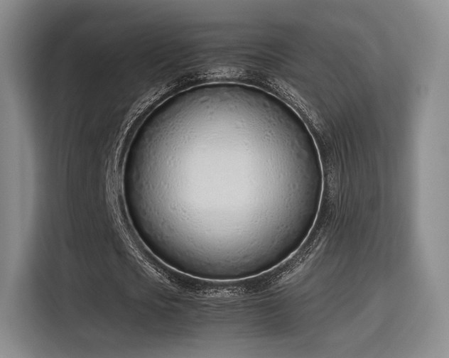 X0000115760721200911201157