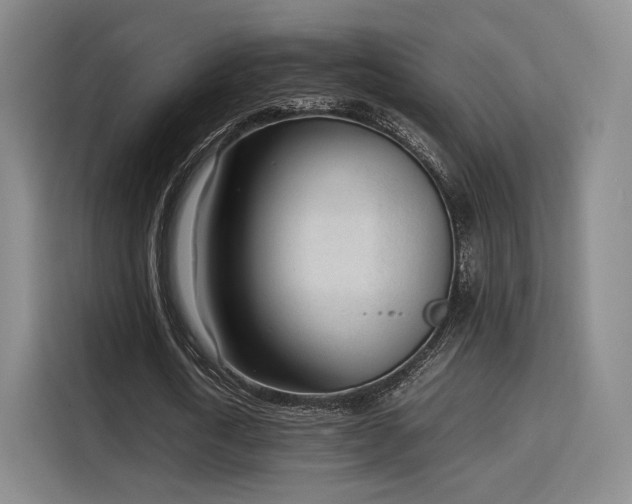 X0000115760722200911201157