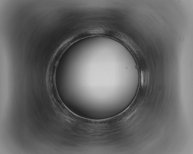 X0000115760723200911201157
