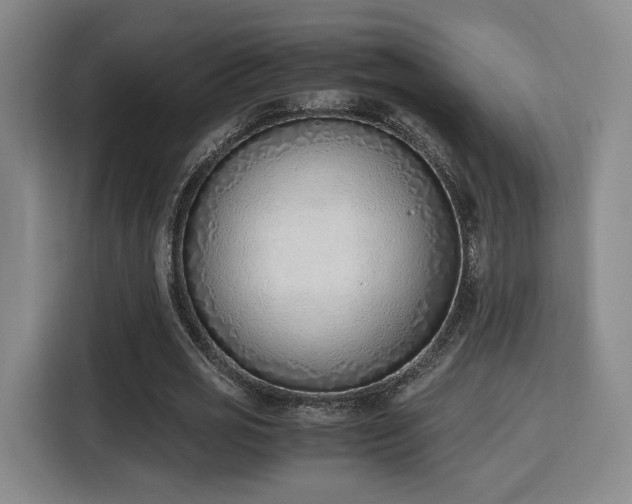 X0000115760725200911201157