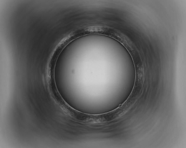 X0000115760727200911201157