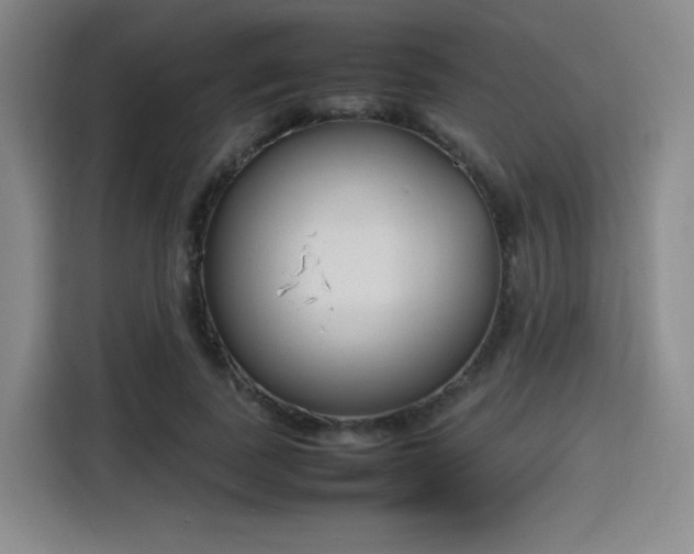 X0000115760739200911201158