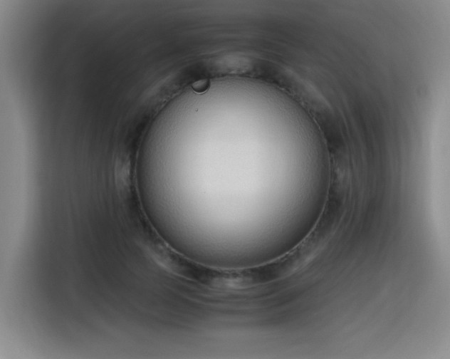 X0000115760745200911201158