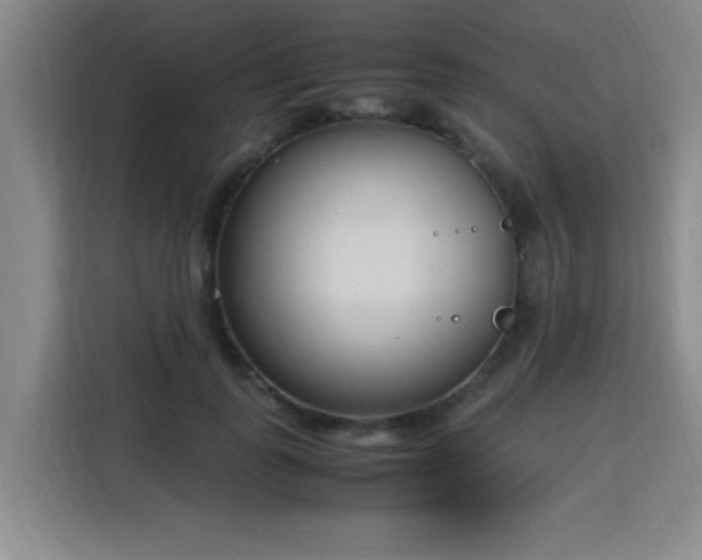 X0000115760747200911201158