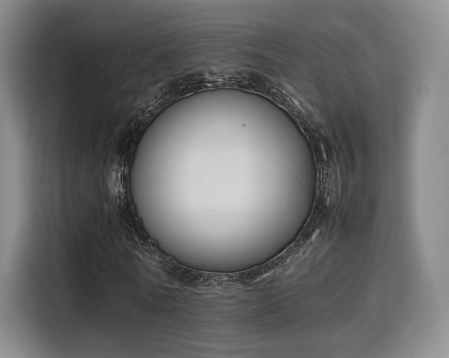 X0000115760770200911201157