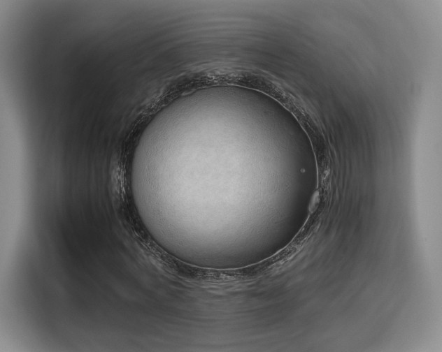 X0000115760772200911201157