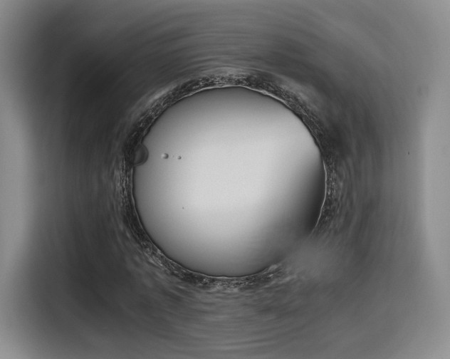 X0000115760773200911201157