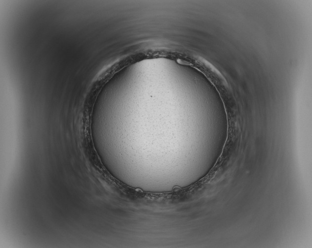 X0000115760775200911201157