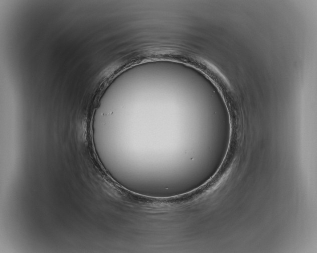 X0000115760777200911201157