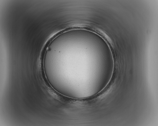 X0000115760779200911201157