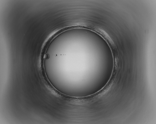 X0000115760780200911201157