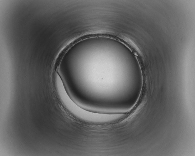 X0000115760781200911201157