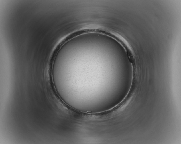 X0000115760783200911201157