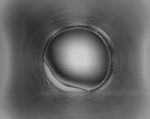X0000115760785200911201157