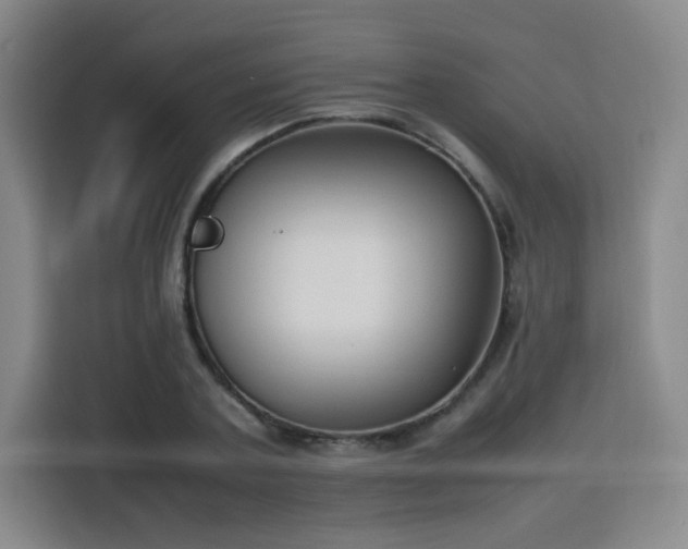 X0000115760787200911201157