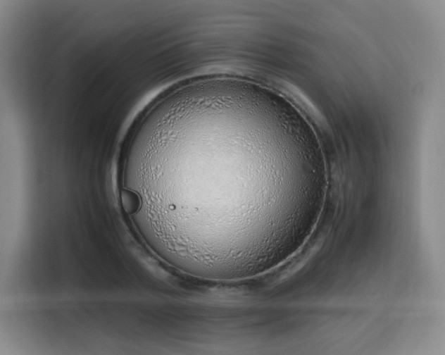 X0000115760788200911201157