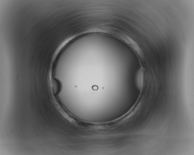 X0000115760796200911201157