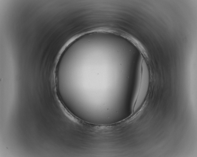 X0000115760808200911201157