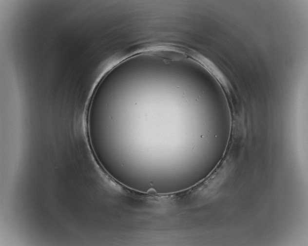 X0000115760813200911201157