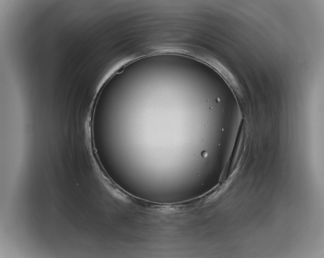 X0000115760814200911201157