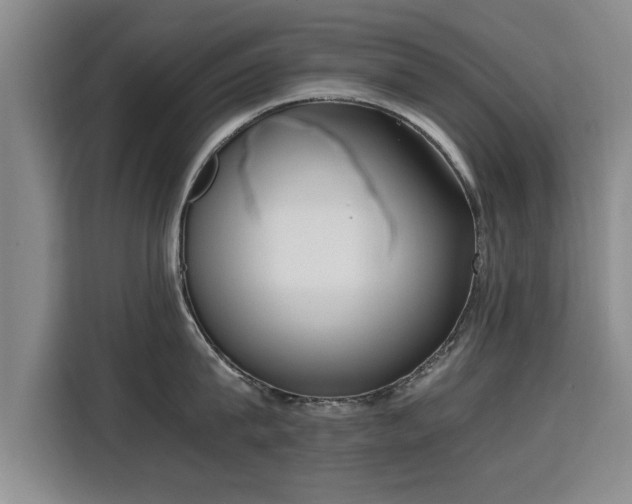 X0000115760815200911201157