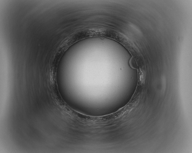 X0000115760819200911201156