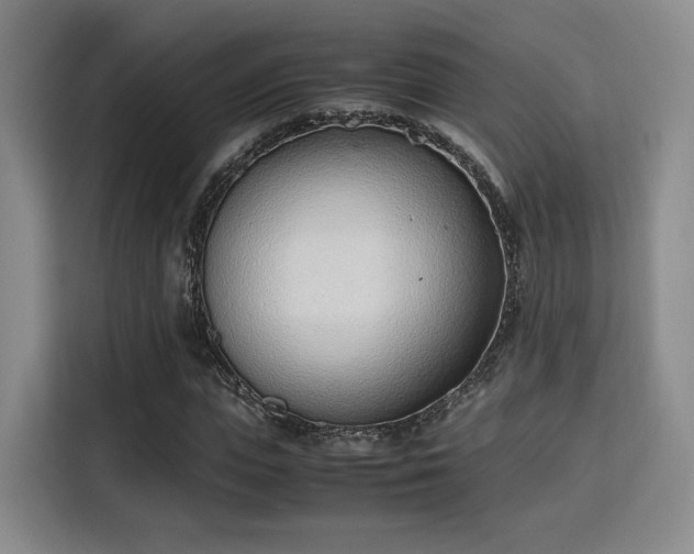 X0000115760823200911201156