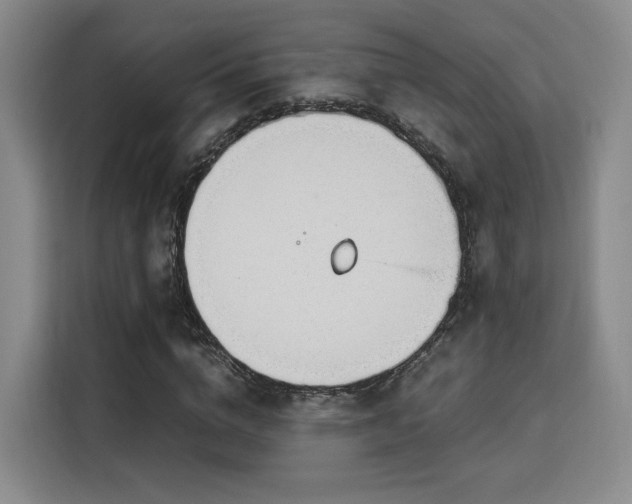 X0000115760824200911201156
