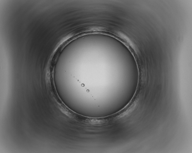 X0000115760827200911201156