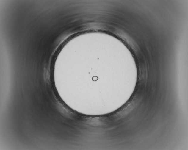 X0000115760828200911201156