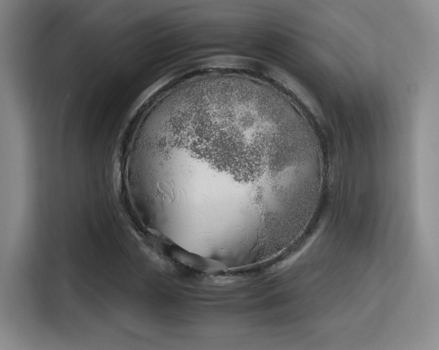 X0000115760829200911201156