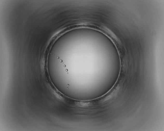 X0000115760831200911201156