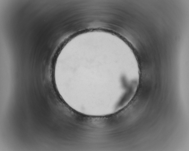 X0000115760832200911201156