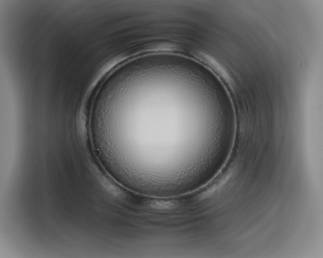 X0000115760835200911201156