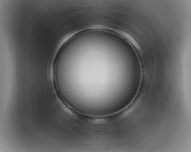 X0000115760839200911201156