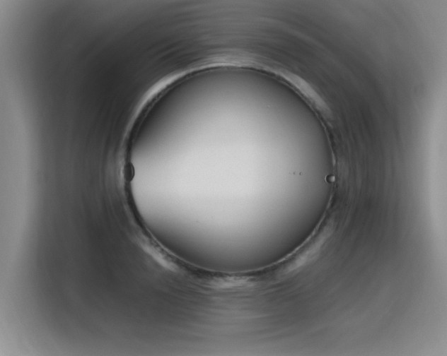 X0000115760846200911201156