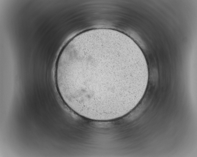 X0000115760856200911201157