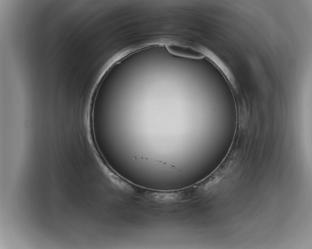 X0000115760861200911201157