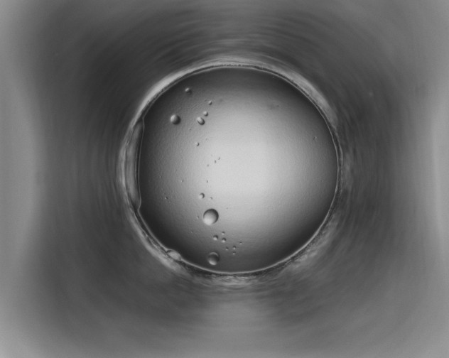 X0000115760862200911201157