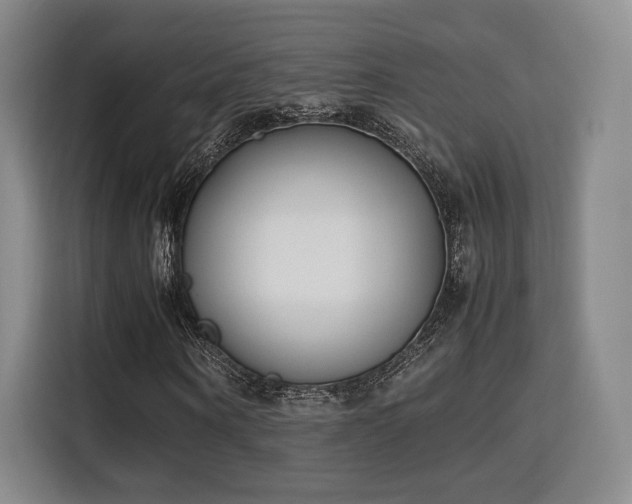X0000115760866200911201156