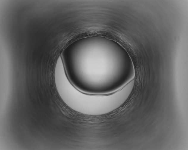 X0000115760868200911201156