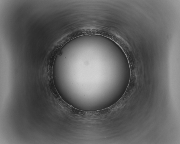 X0000115760870200911201156