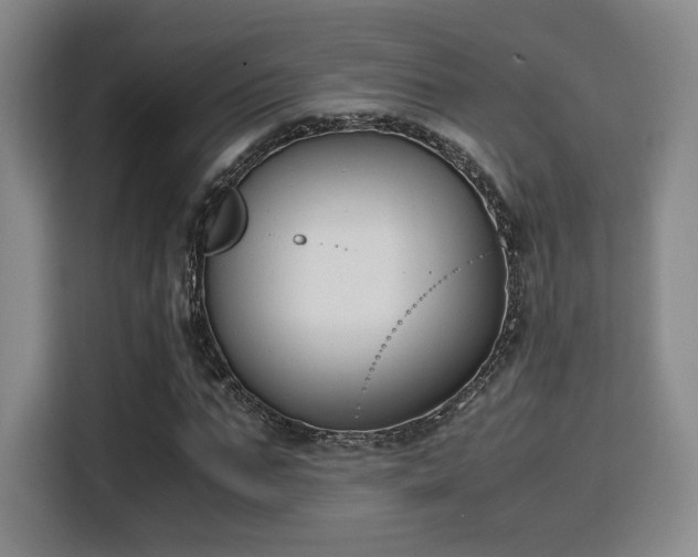 X0000115760871200911201156