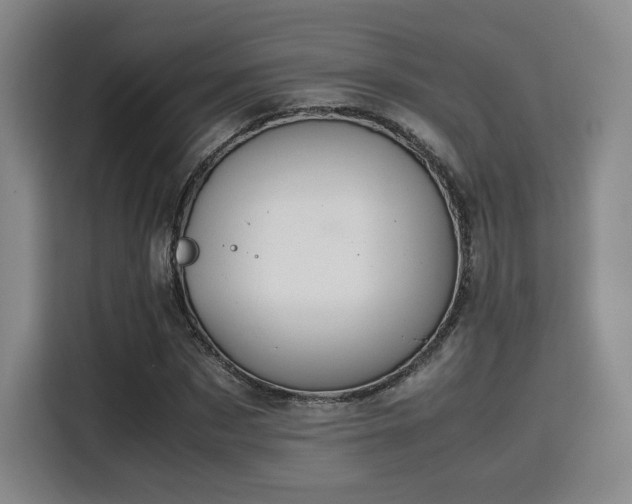 X0000115760873200911201156