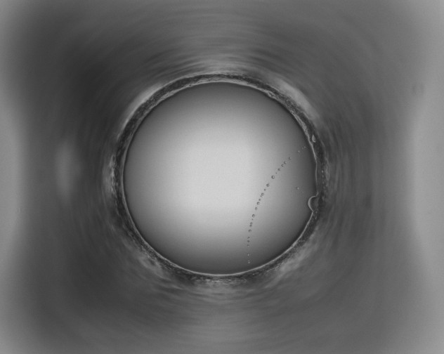 X0000115760875200911201156