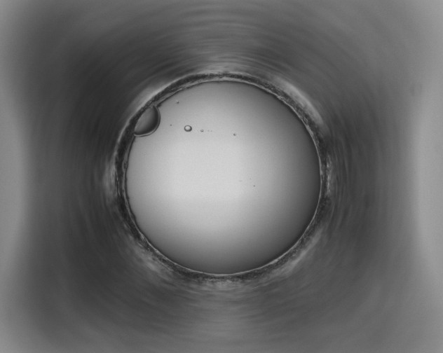 X0000115760876200911201156